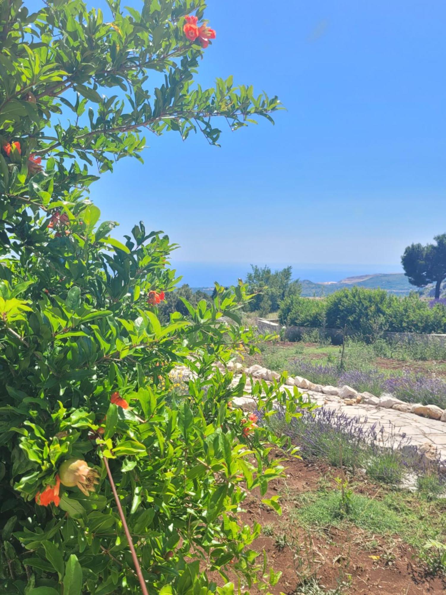 Villa Bosna Near Dubrovnik Very Beautiful Villa Entirely Privatized Swimming Pool, Jacuzzi, Sauna, Billiard, Ping-Pong Ivanica Eksteriør bilde